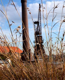 Click Walk Learn Photography Tours - Travel Agents 2