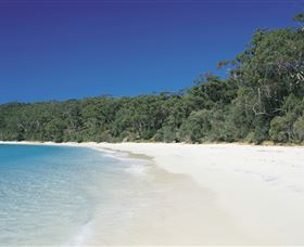 Cloud9 Tours - Tourism Guide 1