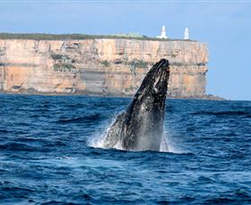 Cloud9 Tours - Tourism Guide 4