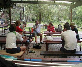Dingo Tours - Tourism Guide 5