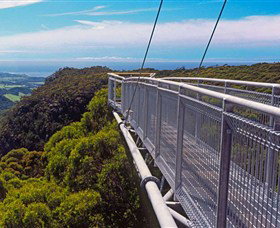 Dingo Tours - Tourism Guide 4