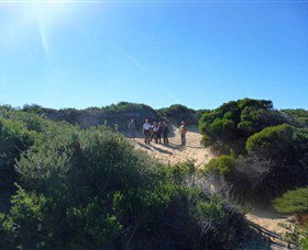 Dingo Tours - Tourism Guide 7