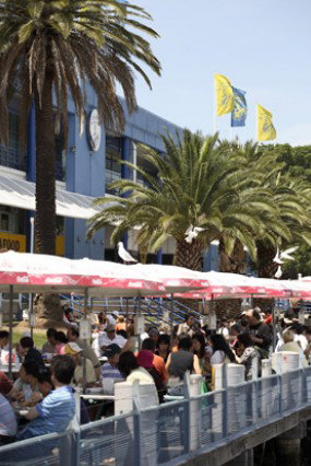 Sydneys Fish Market - Travel Agents 1