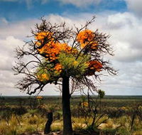 The Delmar Gallery - Cruises Travel