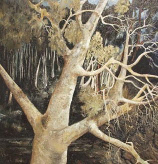 Kearns NSW Tourism Guide