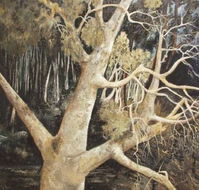 Ku-Ring-Gai Art Centre  Gallery - Cruises Travel
