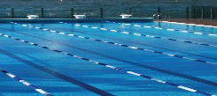 Andrew Boy Charlton Pool - Tourism Guide 1