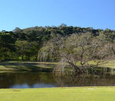Antill Park Country Golf Club - Tourism Guide 1