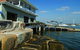 Sydney Rowing Club - thumb 0
