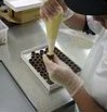 Fremantle Chocolate Pty Ltd - Tourism Guide 1