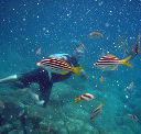 Imagine Cruises - Tourism Guide
