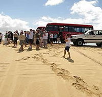 Port Stephens 4WD Tours - Tourism Guide
