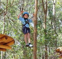TreeTops Newcastle - Tourism Guide