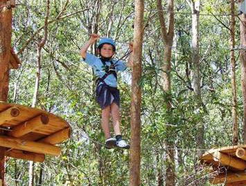 TreeTops Newcastle - Tourism Guide 0