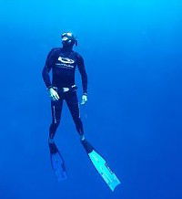 Byron Bay Dive Centre - Travel Agents 1