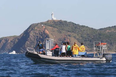 Byron Bay Dolphin Wildlife Tours - Travel Agents 1