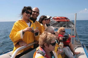 Byron Bay Dolphin Wildlife Tours - Travel Agents 2