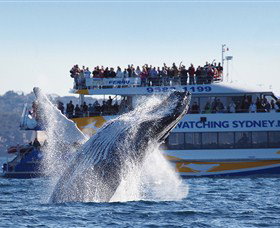 Sydney City NSW Tourism Guide