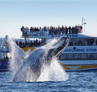 Bass  Flinders Cruises - Tourism Guide