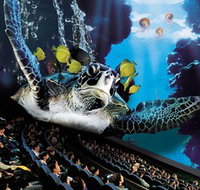 IMAX Theatre Sydney - Tourism Guide
