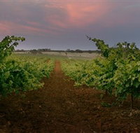 Wine Class - Tourism Guide