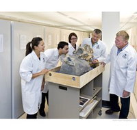 Behind the Scenes Tours at Australian Museum - Tourism Guide