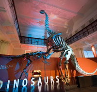 Australian Museum - Tourism Guide