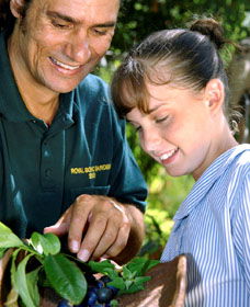 Aboriginal Heritage Tour - Tourism Guide 1