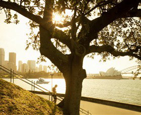 Royal Botanic Gardens And The Domain - Tourism Guide 0