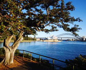 Royal Botanic Gardens And The Domain - Tourism Guide 3