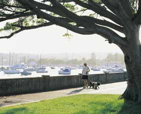 Sydney Harbour Circle Walk - Tourism Guide 0