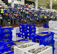 Sydney Fish Market - Tourism Guide