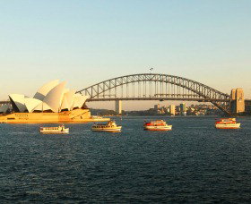 Rosman Cruises - Tourism Guide 1