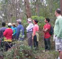 Boronia Tours - Tourism Guide