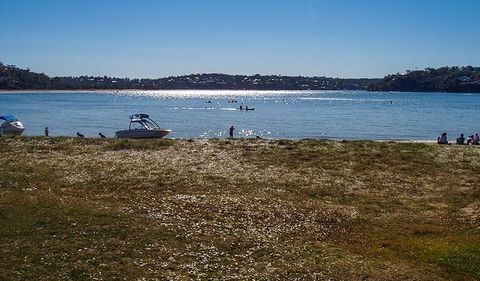 Bonnie Vale Picnic Area - Tourism Guide 1