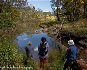 Australian Sightseeing And Photography Tours - Tourism Guide 5