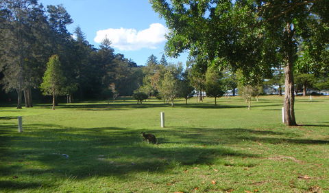 The Basin Picnic Area - Travel Agents 1