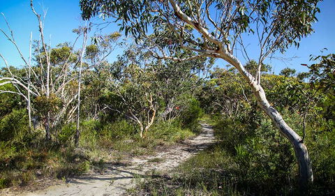 Aboriginal Heritage Walk - Tourism Guide 2