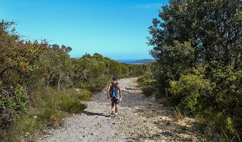Aboriginal Heritage Walk - Tourism Guide 3