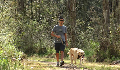 Second Ponds Creek Walk - Travel Agents 3