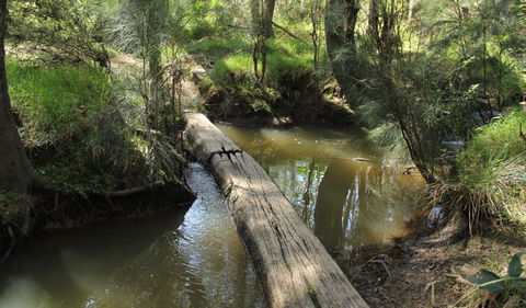Second Ponds Creek Walk - Travel Agents 2