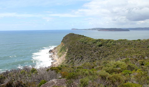 Box Head Track - Cruises Travel 2