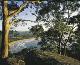 Ocean Beach Umina - Cruises Travel 0