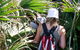 Palm Jungle Loop Track - thumb 0