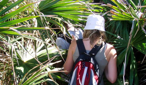 Palm Jungle Loop Track - Cruises Travel 0
