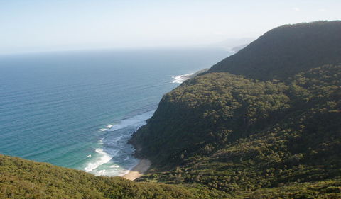 Palm Jungle Loop Track - Cruises Travel 1