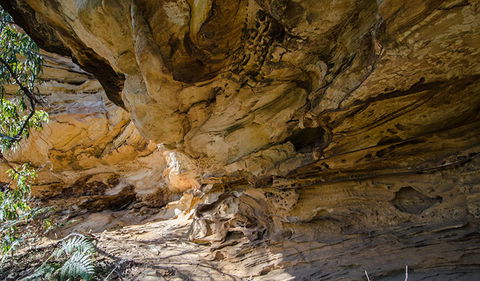 Marramarra National Park - Tourism Guide 0