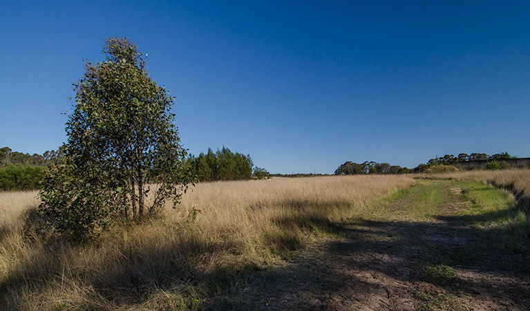 Oakville NSW Tourism Guide