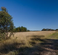 Scheyville horse riding trails - Tourism Guide