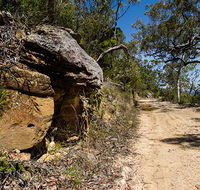 Canoelands Ridge walking track - Tourism Guide